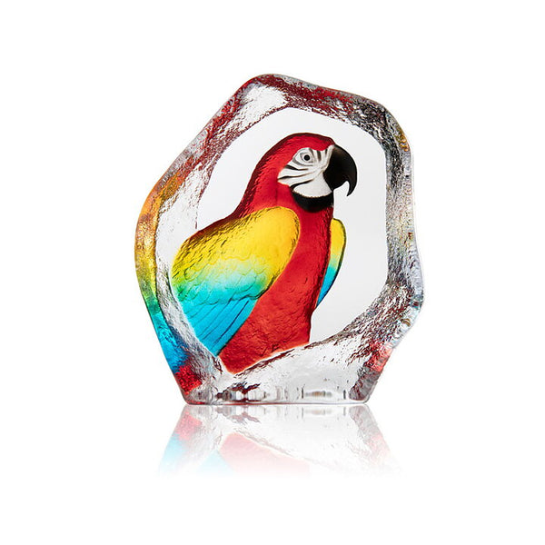 Målerås Mats Jonasson Parrot