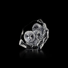 Load image into Gallery viewer, Målerås Mats Jonasson Wildlife Owlets
