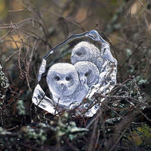 Load image into Gallery viewer, Målerås Mats Jonasson Wildlife Owlets
