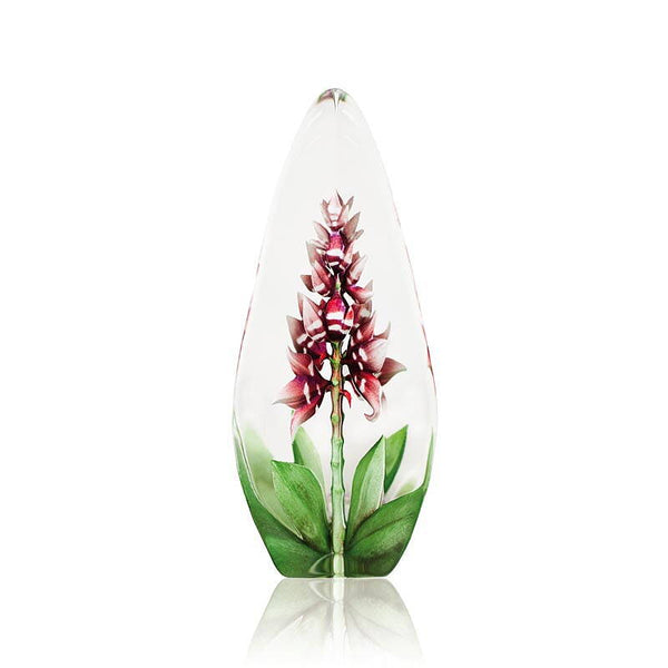 Målerås Mats Jonasson Orchid Red
