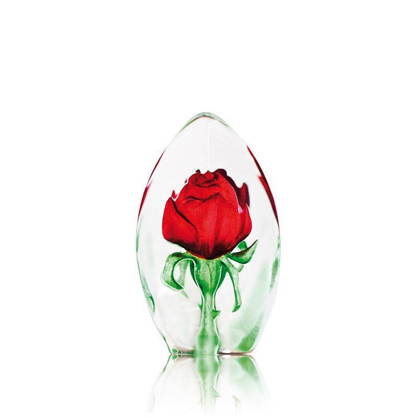 Målerås Mats Jonasson Rose