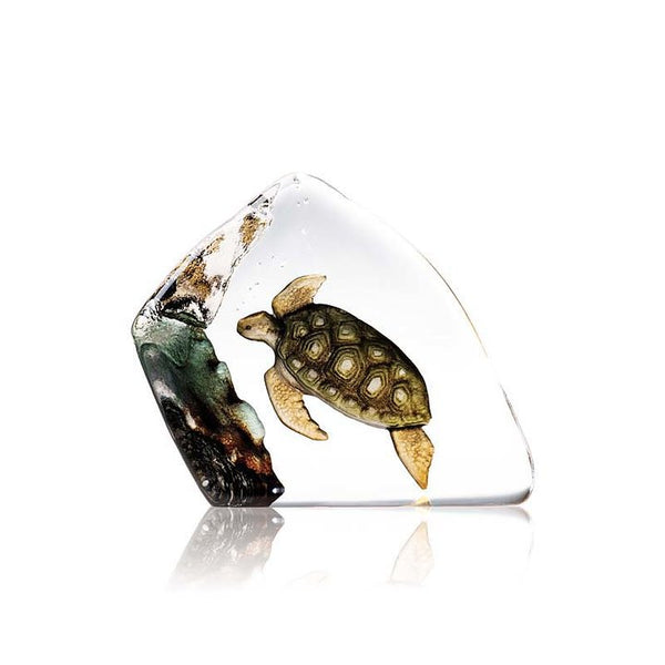 Målerås Mats Jonasson Sea Turtle