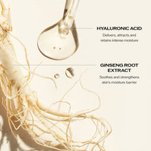 Load image into Gallery viewer, Shiseido Essential Energy Hydrating Day Cream
