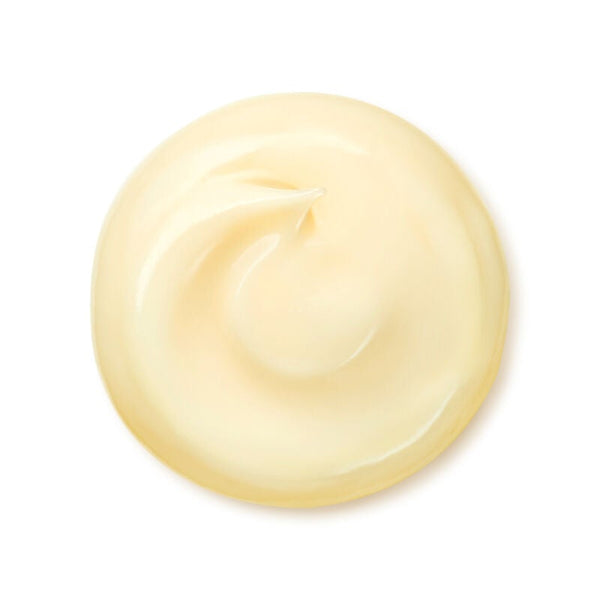 Shiseido Benefiance Wrinkle Smoothing Cream Enriched